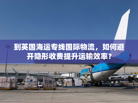 到英国海运专线国际物流，如何避开隐形收费提升运输效率？