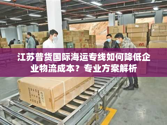 江苏普货国际海运专线如何降低企业物流成本？专业方案解析