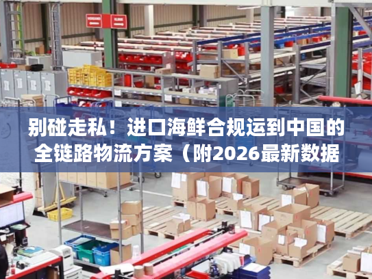 别碰走私！进口海鲜合规运到中国的全链路物流方案（附2026最新数据）