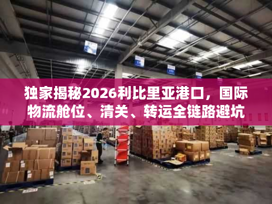 独家揭秘2026利比里亚港口，国际物流舱位、清关、转运全链路避坑攻略