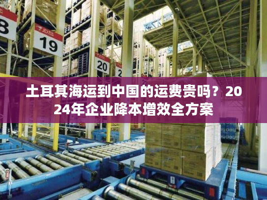土耳其海运到中国的运费贵吗？2024年企业降本增效全方案
