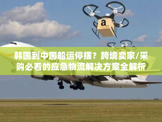 韩国到中国船运停摆？跨境卖家/采购必看的应急物流解决方案全解析