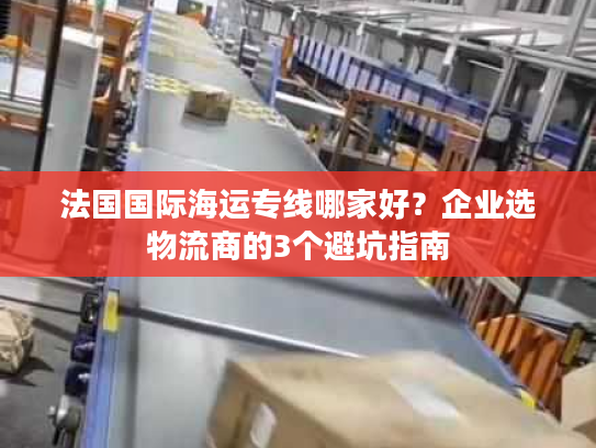 法国国际海运专线哪家好？企业选物流商的3个避坑指南