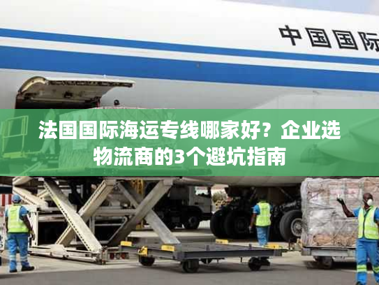 法国国际海运专线哪家好？企业选物流商的3个避坑指南