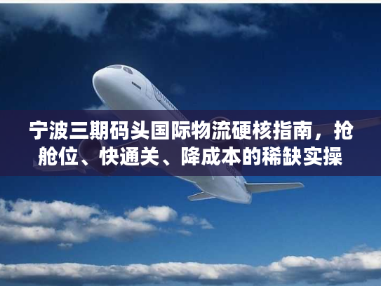 宁波三期码头国际物流硬核指南，抢舱位、快通关、降成本的稀缺实操门道