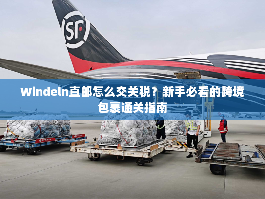 Windeln直邮怎么交关税？新手必看的跨境包裹通关指南
