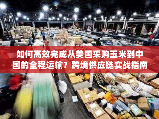 如何高效完成从美国采购玉米到中国的全程运输？跨境供应链实战指南