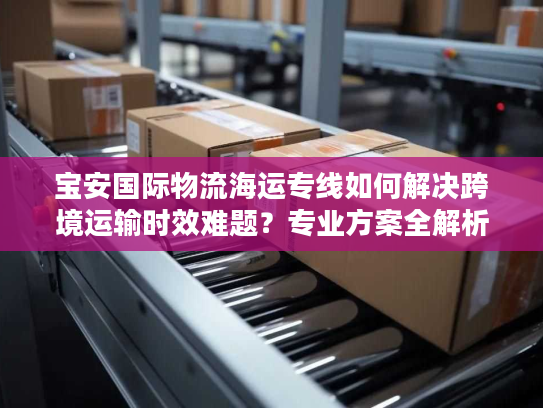 宝安国际物流海运专线如何解决跨境运输时效难题?专业方案全解析 宝安国际物流海运专线如何解决跨境运输时效难题?专业方案全解析