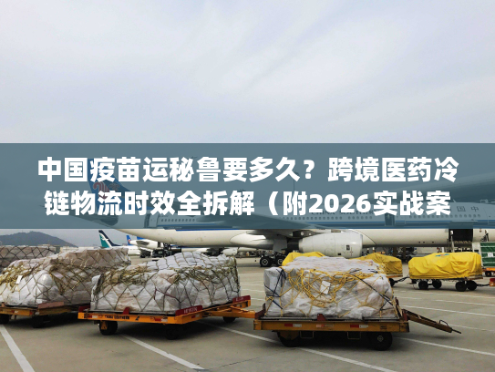 中国疫苗运秘鲁要多久？跨境医药冷链物流时效全拆解（附2026实战案例）
