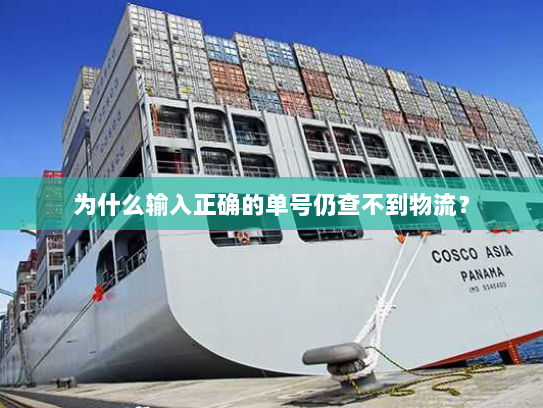 为什么输入正确的单号仍查不到物流？