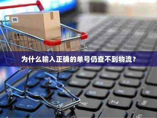为什么输入正确的单号仍查不到物流？