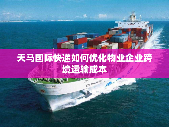 天马国际快递如何优化物业企业跨境运输成本