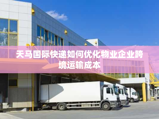 天马国际快递如何优化物业企业跨境运输成本