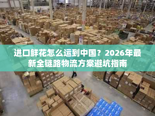进口鲜花怎么运到中国?2026年最新全链路物流方案避坑指南 进口鲜花怎么运到中国?2026年最新全链路物流方案避坑指南