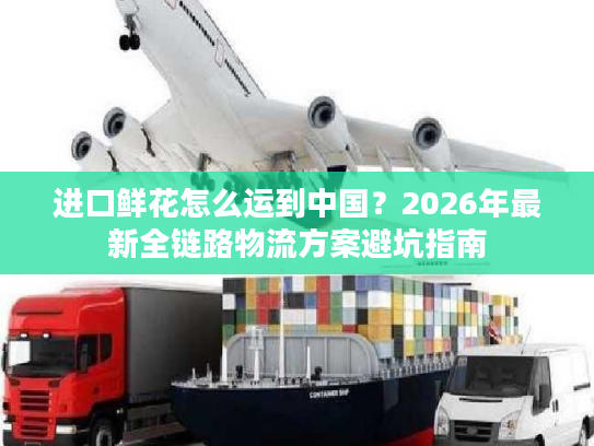 进口鲜花怎么运到中国？2026年最新全链路物流方案避坑指南