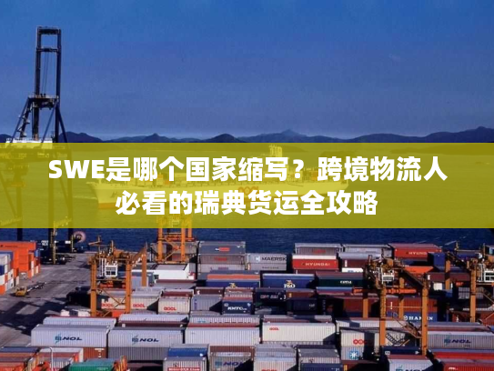 SWE是哪个国家缩写？跨境物流人必看的瑞典货运全攻略