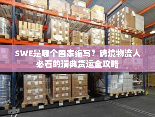 SWE是哪个国家缩写？跨境物流人必看的瑞典货运全攻略