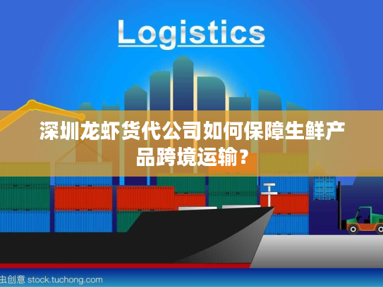 深圳龙虾货代公司如何保障生鲜产品跨境运输？