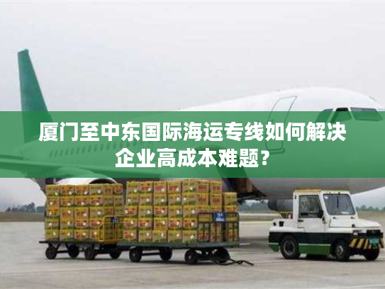厦门至中东国际海运专线如何解决企业高成本难题？