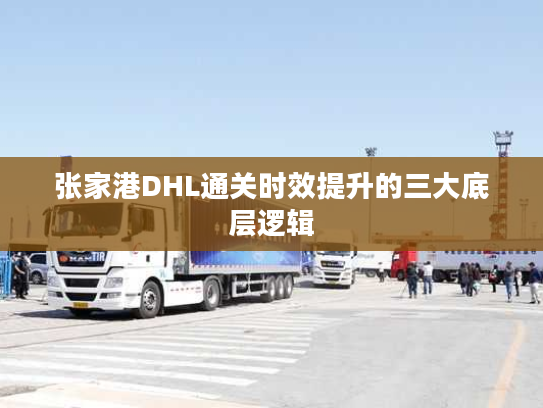 张家港DHL通关时效提升的三大底层逻辑