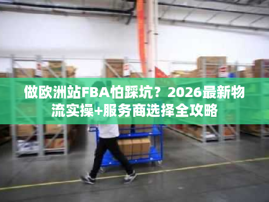做欧洲站FBA怕踩坑？2026最新物流实操+服务商选择全攻略