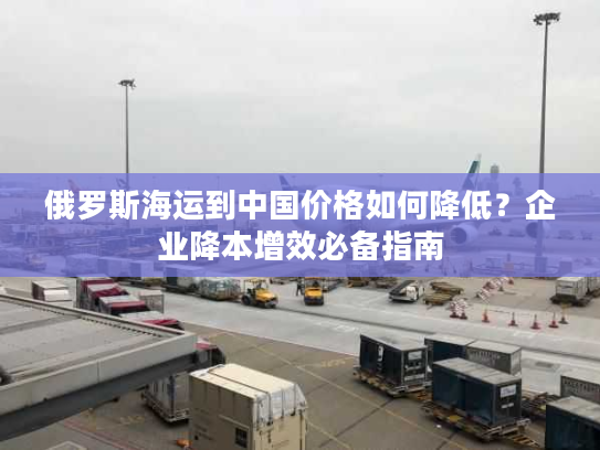 俄罗斯海运到中国价格如何降低？企业降本增效必备指南
