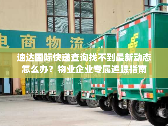 速达国际快递查询找不到最新动态怎么办？物业企业专属追踪指南