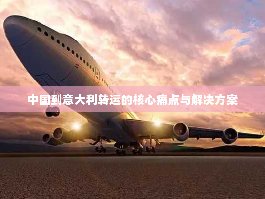 中国到意大利转运的核心痛点与解决方案