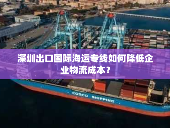 深圳出口国际海运专线如何降低企业物流成本？