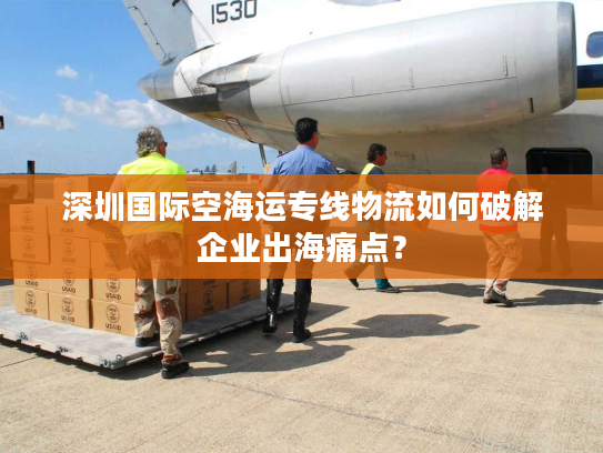 深圳国际空海运专线物流如何破解企业出海痛点？