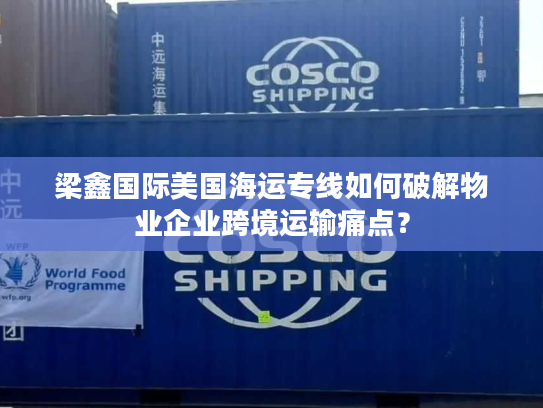 梁鑫国际美国海运专线如何破解物业企业跨境运输痛点？