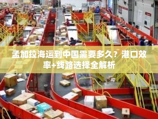 孟加拉海运到中国需要多久?港口效率+线路选择全解析 孟加拉海运到中国需要多久?港口效率+线路选择全解析