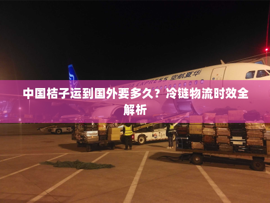 中国桔子运到国外要多久？冷链物流时效全解析