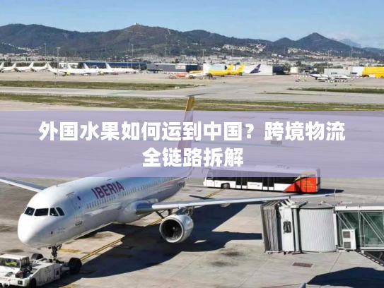 外国水果如何运到中国？跨境物流全链路拆解