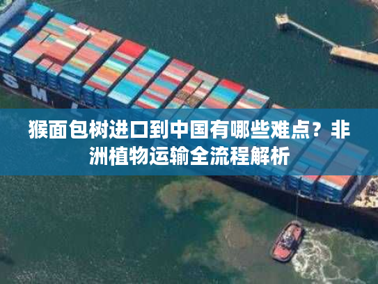 猴面包树进口到中国有哪些难点?非洲植物运输全流程解析 猴面包树进口到中国有哪些难点?非洲植物运输全流程解析