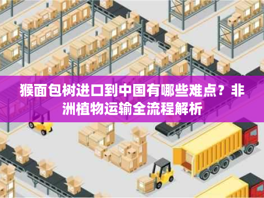 猴面包树进口到中国有哪些难点?非洲植物运输全流程解析 猴面包树进口到中国有哪些难点?非洲植物运输全流程解析