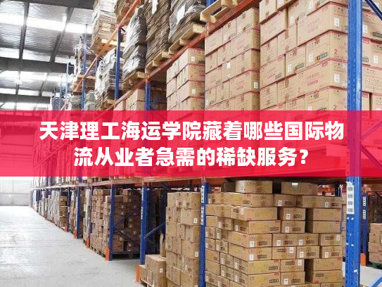 天津理工海运学院藏着哪些国际物流从业者急需的稀缺服务？