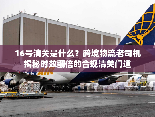 16号清关是什么？跨境物流老司机揭秘时效翻倍的合规清关门道