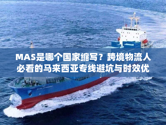 MAS是哪个国家缩写？跨境物流人必看的马来西亚专线避坑与时效优化指南