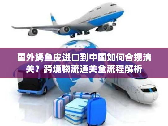 国外鳄鱼皮进口到中国如何合规清关？跨境物流通关全流程解析
