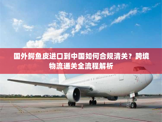国外鳄鱼皮进口到中国如何合规清关?跨境物流通关全流程解析 国外鳄鱼皮进口到中国如何合规清关?跨境物流通关全流程解析