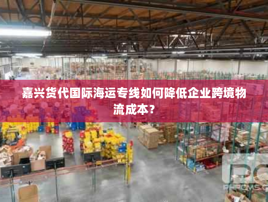 嘉兴货代国际海运专线如何降低企业跨境物流成本？