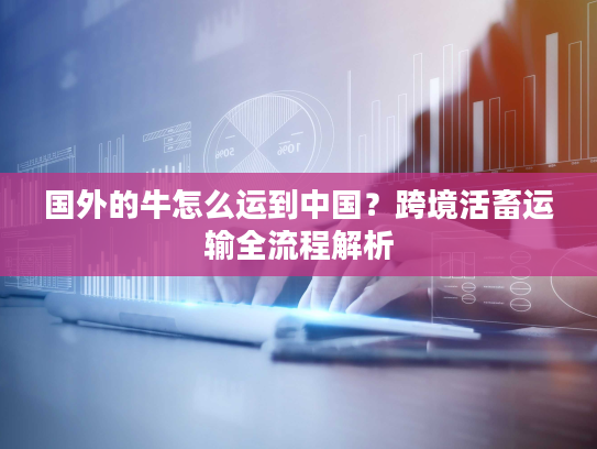 国外的牛怎么运到中国?跨境活畜运输全流程解析 国外的牛怎么运到中国?跨境活畜运输全流程解析