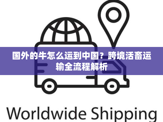 国外的牛怎么运到中国?跨境活畜运输全流程解析 国外的牛怎么运到中国?跨境活畜运输全流程解析