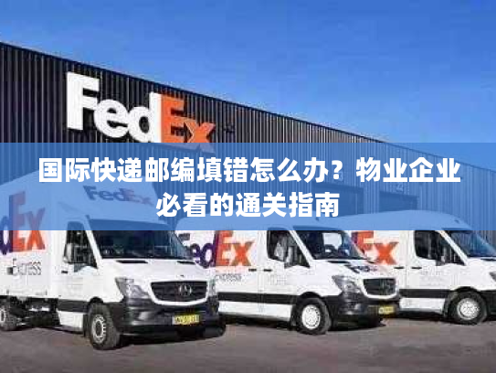 国际快递邮编填错怎么办？物业企业必看的通关指南