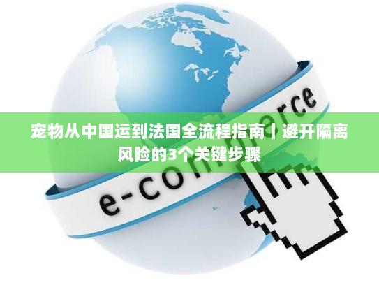 宠物从中国运到法国全流程指南｜避开隔离风险的3个关键步骤