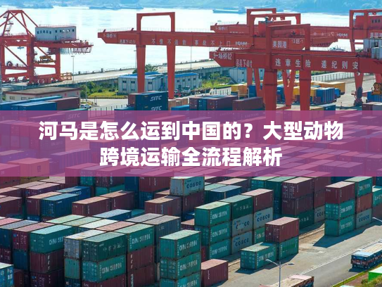 河马是怎么运到中国的？大型动物跨境运输全流程解析