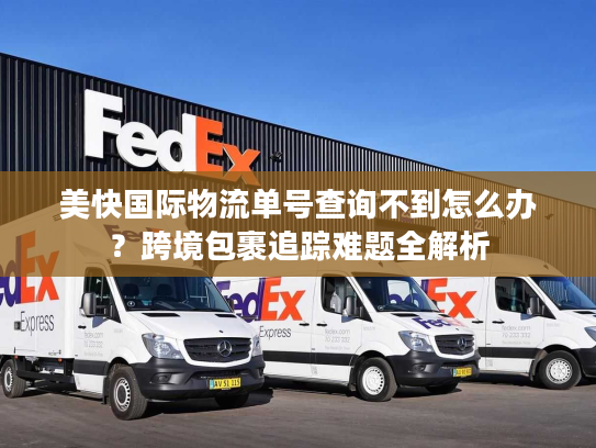 美快国际物流单号查询不到怎么办？跨境包裹追踪难题全解析