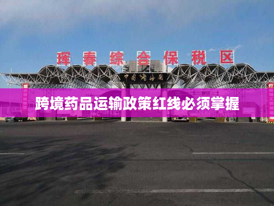 跨境药品运输政策红线必须掌握