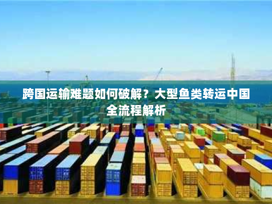 跨国运输难题如何破解？大型鱼类转运中国全流程解析